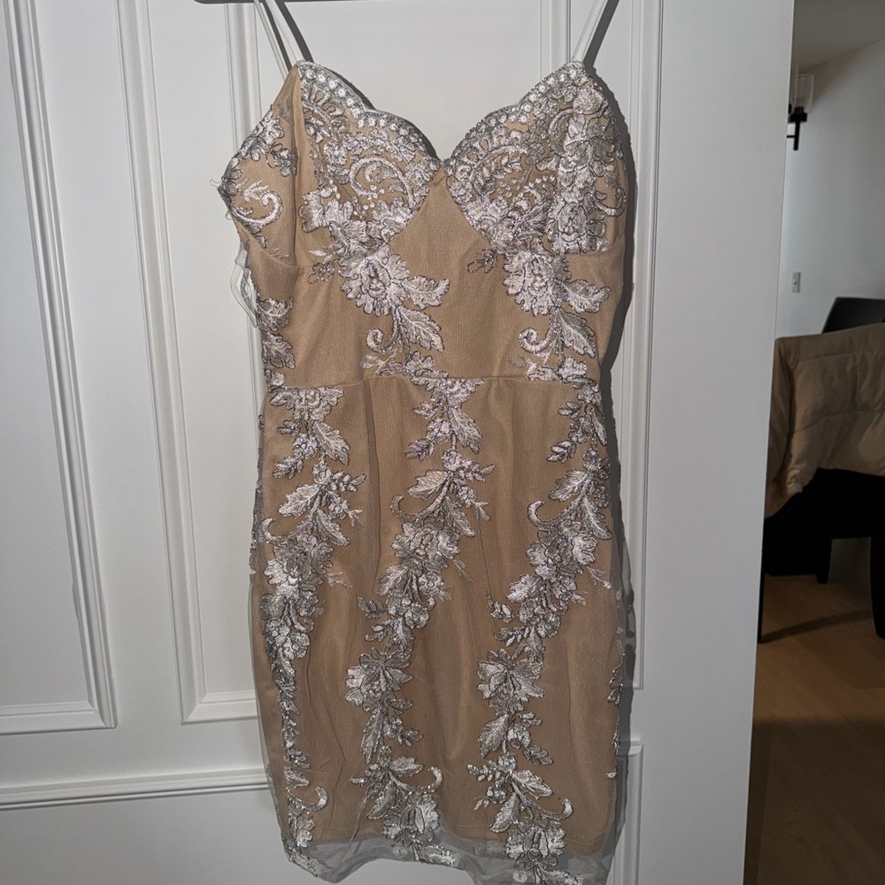 Windsor Beige and Silver Lace Mini Dress